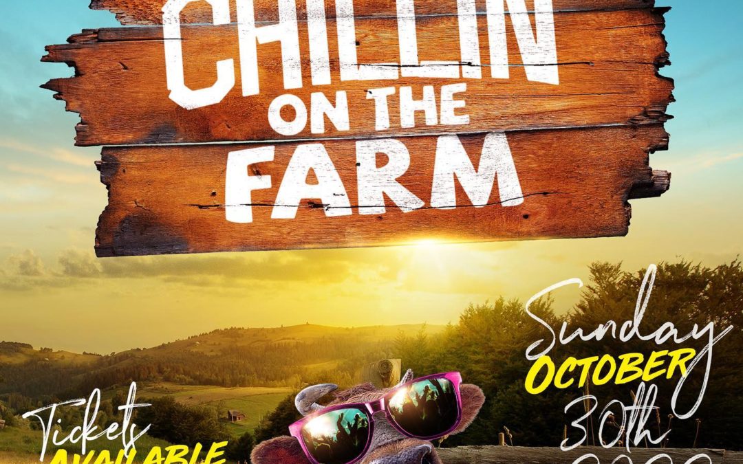 Chillin’ On The Farm